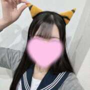 ヒメ日記 2025/05/15 15:14 投稿 かやの チューリップ福井本館