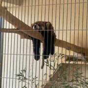 ヒメ日記 2025/07/15 15:06 投稿 かやの チューリップ福井本館