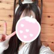 ヒメ日記 2025/10/11 16:04 投稿 かやの チューリップ福井本館