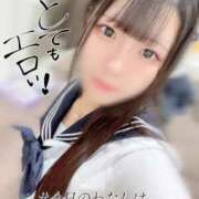 ヒメ日記 2025/03/20 18:51 投稿 かやの チューリップ福井別館