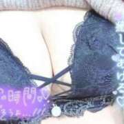 ヒメ日記 2025/03/21 10:34 投稿 かやの チューリップ福井別館