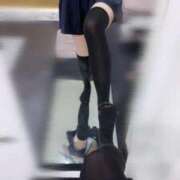 ヒメ日記 2025/03/23 08:34 投稿 かやの チューリップ福井別館