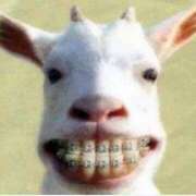 ヒメ日記 2025/07/11 15:34 投稿 かやの チューリップ福井別館