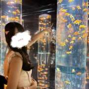 ヒメ日記 2025/07/13 17:24 投稿 かやの チューリップ福井別館