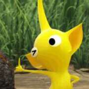 ヒメ日記 2025/08/21 11:04 投稿 かやの チューリップ福井別館