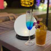 ヒメ日記 2025/08/21 17:24 投稿 かやの チューリップ福井別館