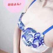 ヒメ日記 2025/06/09 06:30 投稿 ゆみ スチュワーデス