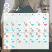 ヒメ日記 2025/02/22 21:56 投稿 なな 鹿鳴館