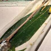 ヒメ日記 2025/08/26 23:13 投稿 なな 鹿鳴館