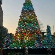 ヒメ日記 2025/11/20 22:26 投稿 なな 鹿鳴館