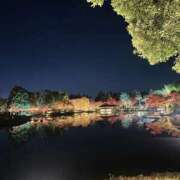 ヒメ日記 2025/11/23 21:26 投稿 なな 鹿鳴館