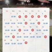 ヒメ日記 2025/11/24 18:56 投稿 なな 鹿鳴館