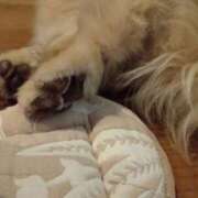 なな 12月の出勤について 鹿鳴館