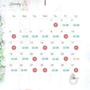 ヒメ日記 2025/12/25 14:16 投稿 なな 鹿鳴館