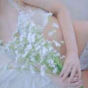 ヒメ日記 2026/04/14 01:26 投稿 なな 鹿鳴館