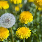 ヒメ日記 2025/04/20 14:20 投稿 凪りりあ(なぎりりあ) 五十路マダムエクスプレス厚木店(カサブランカグループ)