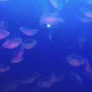 ヒメ日記 2025/04/25 07:46 投稿 凪りりあ(なぎりりあ) 五十路マダムエクスプレス厚木店(カサブランカグループ)