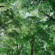 ヒメ日記 2025/04/27 16:58 投稿 凪りりあ(なぎりりあ) 五十路マダムエクスプレス厚木店(カサブランカグループ)