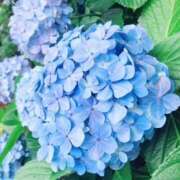 ヒメ日記 2025/06/06 11:10 投稿 凪りりあ(なぎりりあ) 五十路マダムエクスプレス厚木店(カサブランカグループ)