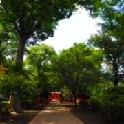 ヒメ日記 2025/08/19 16:02 投稿 凪りりあ(なぎりりあ) 五十路マダムエクスプレス厚木店(カサブランカグループ)