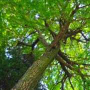 ヒメ日記 2026/03/11 08:48 投稿 凪りりあ(なぎりりあ) 五十路マダムエクスプレス厚木店(カサブランカグループ)