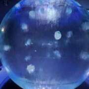 ヒメ日記 2026/03/17 17:30 投稿 凪りりあ(なぎりりあ) 五十路マダムエクスプレス厚木店(カサブランカグループ)