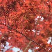 ヒメ日記 2026/05/11 12:16 投稿 凪りりあ(なぎりりあ) 五十路マダムエクスプレス厚木店(カサブランカグループ)