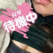 ヒメ日記 2025/03/08 00:31 投稿 うた ぷよラブ れぼりゅ～しょん