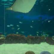 ヒメ日記 2025/05/07 20:27 投稿 ゆま シークレットサービス