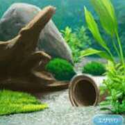 ヒメ日記 2025/11/15 22:48 投稿 ゆま シークレットサービス