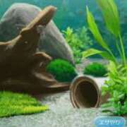 ヒメ日記 2025/11/16 22:18 投稿 ゆま シークレットサービス