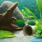 ヒメ日記 2025/11/17 19:48 投稿 ゆま シークレットサービス