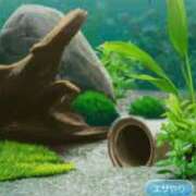 ヒメ日記 2025/11/20 23:48 投稿 ゆま シークレットサービス