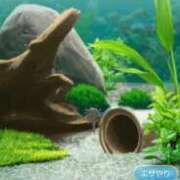 ヒメ日記 2025/11/24 21:33 投稿 ゆま シークレットサービス