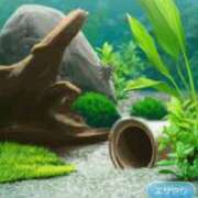 ヒメ日記 2025/11/27 14:27 投稿 ゆま シークレットサービス