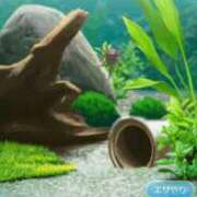 ヒメ日記 2025/12/05 22:03 投稿 ゆま シークレットサービス