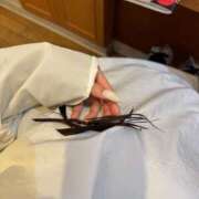 ヒメ日記 2026/02/28 20:42 投稿 ゆま シークレットサービス