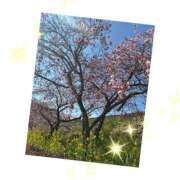 ヒメ日記 2025/03/08 09:33 投稿 みお★（二輪車可） わがままスタイル