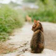 ヒメ日記 2025/02/19 00:01 投稿 りな 横浜Cute