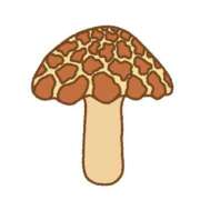 ヒメ日記 2025/11/14 22:01 投稿 しほ 奥様さくら日本橋店