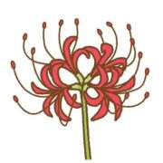 ヒメ日記 2025/11/16 09:15 投稿 しほ 奥様さくら日本橋店