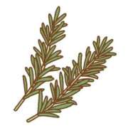 しほ 🌱😬 奥様さくら日本橋店