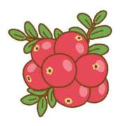 しほ 11月30日 今年もあとひと月！ 奥様さくら日本橋店