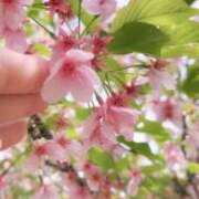 ヒメ日記 2025/03/28 15:03 投稿 あいみ 熟女の風俗最終章 西川口店