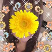 ヒメ日記 2025/02/16 12:45 投稿 有村美羽 五十路マダム 博多店