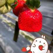 ヒメ日記 2026/02/05 22:02 投稿 きく ごほうびSPA 大阪店