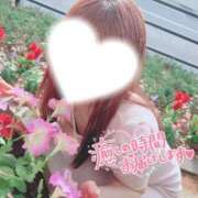 ヒメ日記 2025/08/11 10:04 投稿 ソラ いたずらバニーちゃん