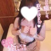 ヒメ日記 2025/08/14 10:30 投稿 ソラ いたずらバニーちゃん