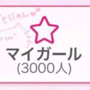 ヒメ日記 2025/08/27 11:30 投稿 ソラ いたずらバニーちゃん