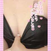 ヒメ日記 2025/09/10 10:20 投稿 ソラ いたずらバニーちゃん